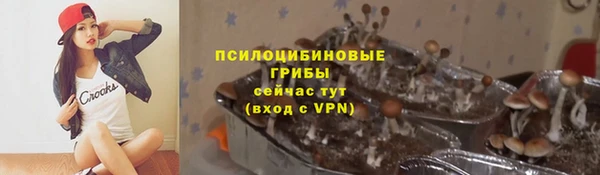 ПСИЛОЦИБИНОВЫЕ ГРИБЫ Богородицк